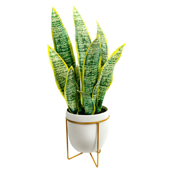 Primrue 24" Artificial Snake plant Plant in Pot Wayfair